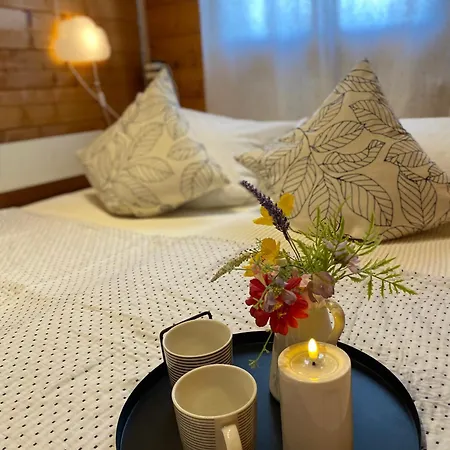 Ferienhaus-blockhuette Im Fichtelgebirge - Nagler 2 Km Nyaraló