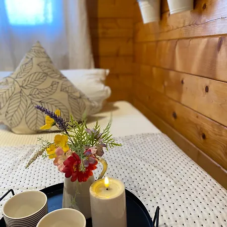 Ferienhaus-blockhuette Im Fichtelgebirge - Nagler 2 Km Nagel
