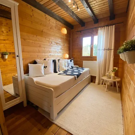 Prázdninový dům Ferienhaus-blockhuette Im Fichtelgebirge - Nagler 2 Km *